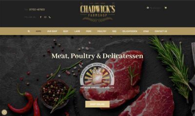 Professional Ecommerce Websites by Web Designers Near Me
