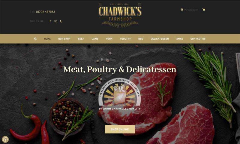 WordPress Ecommerce WooComerce Website Examples